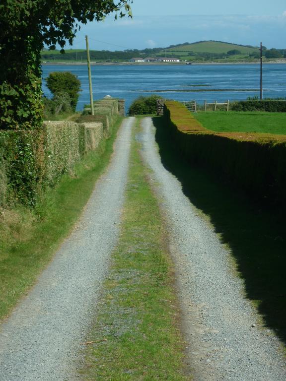 Seal Cabin Villa Strangford Eksteriør billede