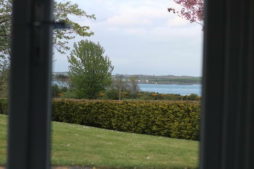Seal Cabin Villa Strangford Eksteriør billede
