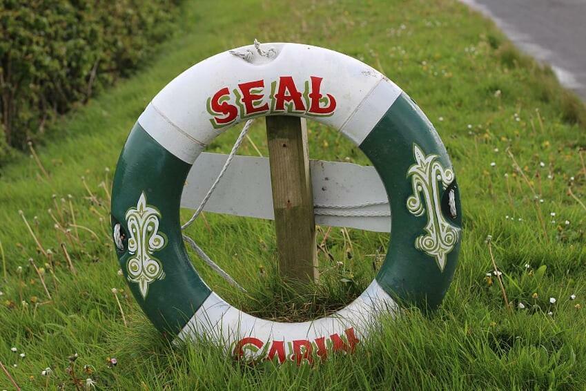 Seal Cabin Villa Strangford Eksteriør billede